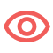 Vision